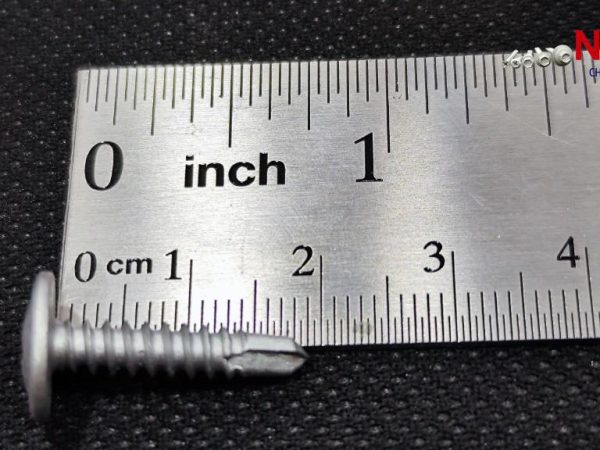 Vít đầu dù Wakai 19mm